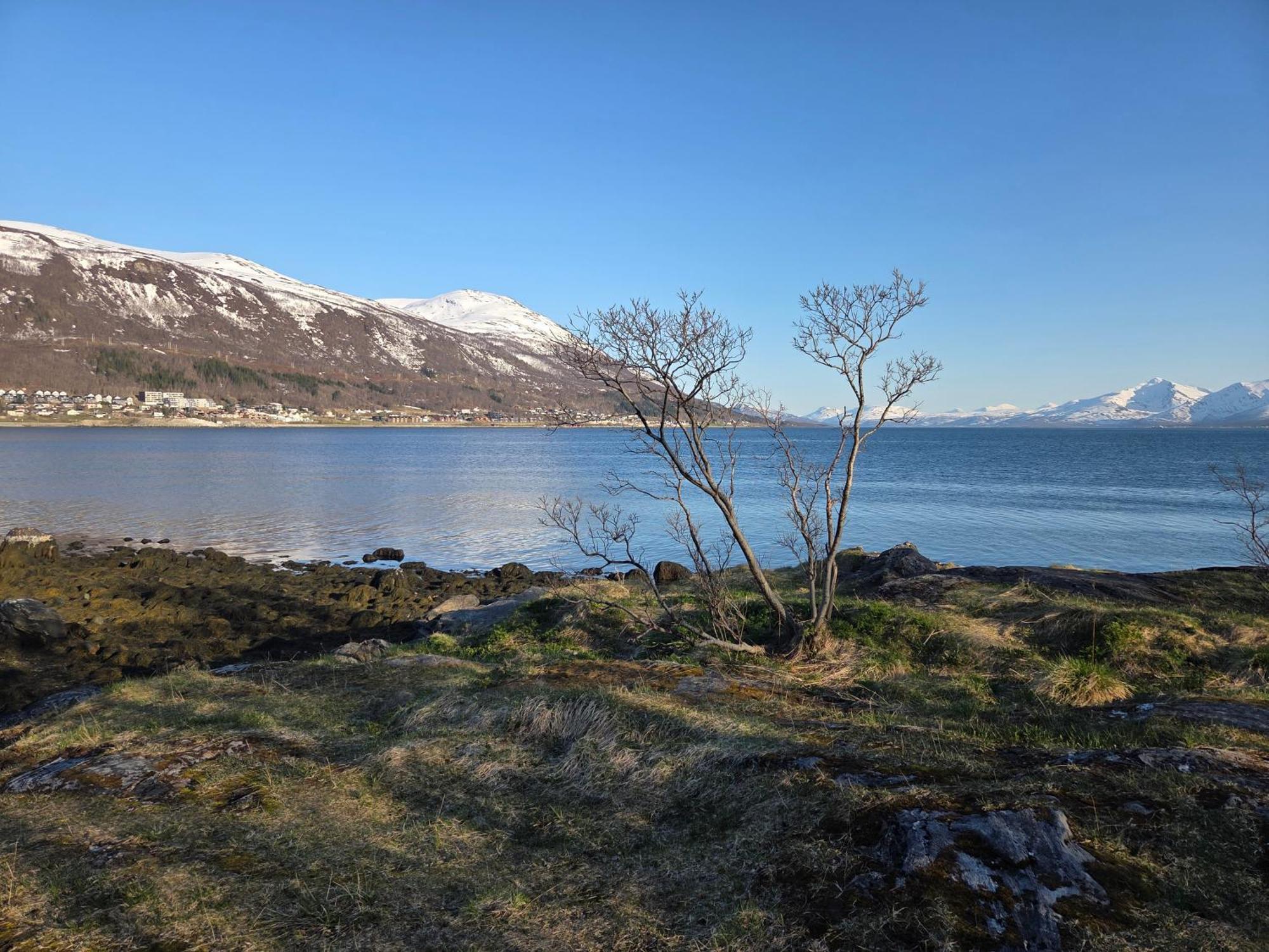 The Old Printing House - 4 Bedroom Appartement Tromsø